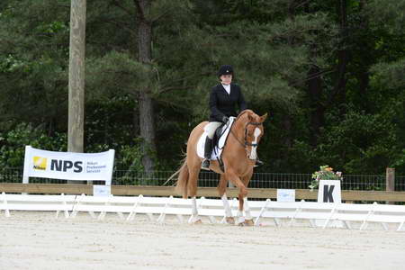 So8ths-5-3-13-Dressage-5035-SarahZimmer-MardiGras-DDeRosaPhoto