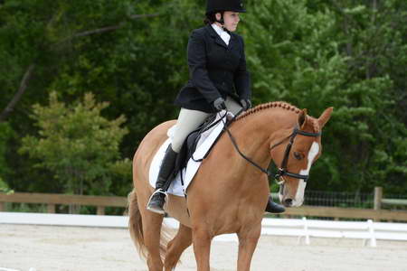 So8ths-5-3-13-Dressage-5043-SarahZimmer-MardiGras-DDeRosaPhoto