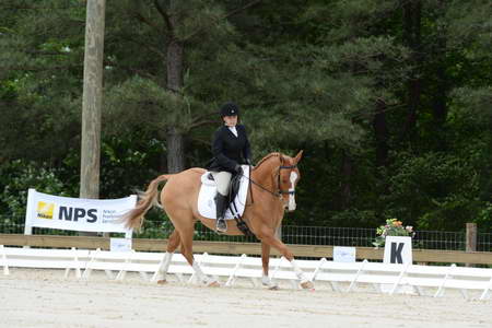 So8ths-5-3-13-Dressage-5054-SarahZimmer-MardiGras-DDeRosaPhoto