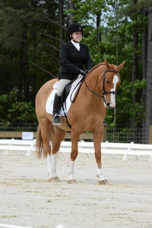 So8ths-5-3-13-Dressage-5066-SarahZimmer-MardiGras-DDeRosaPhoto
