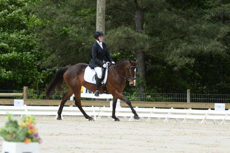 So8ths-5-3-13-Dressage-5101-SamanthaHay-TreJolie-DDeRosaPhoto
