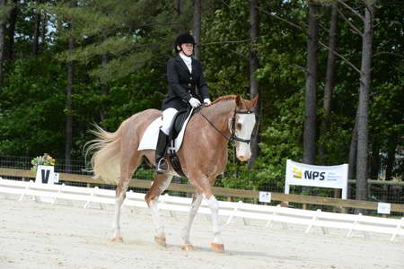 So8ths-5-3-13-Dressage-5121-BrianaTimmerman-ASplashofHenry-DDeRosaPhoto