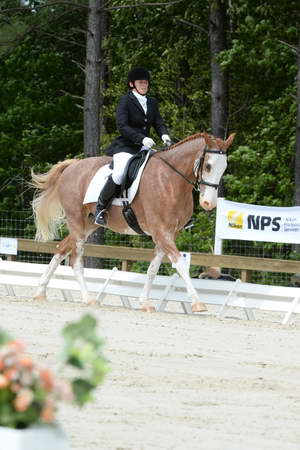 So8ths-5-3-13-Dressage-5146-BrianaTimmerman-ASplashofHenry-DDeRosaPhoto