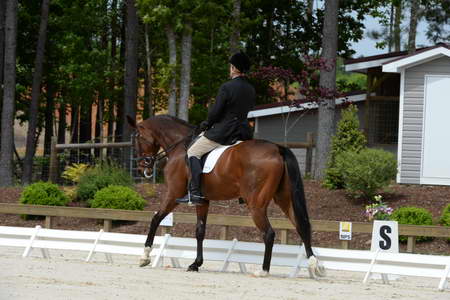 So8ths-5-3-13-Dressage-5181-MannyDiemer-Krugerrand-DDeRosaPhoto
