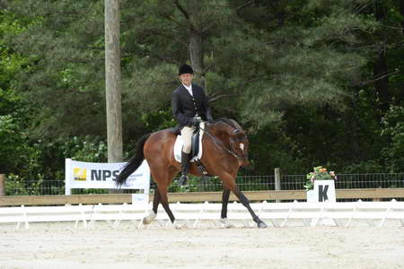 So8ths-5-3-13-Dressage-5184-MannyDiemer-Krugerrand-DDeRosaPhoto