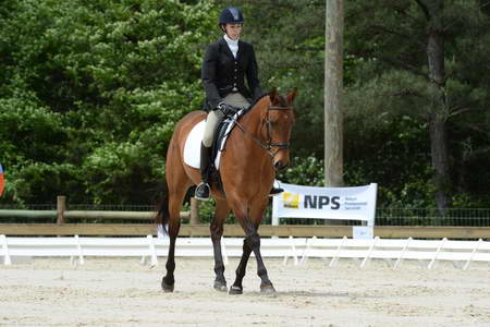 So8ths-5-3-13-Dressage-5210-TatyanaPrueter-Aberjoy-DDeRosaPhoto