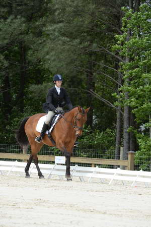 So8ths-5-3-13-Dressage-5228-TatyanaPrueter-Aberjoy-DDeRosaPhoto