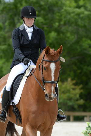 So8ths-5-3-13-Dressage-5238-SamanthaDiMaria-Valentine-DDeRosaPhoto