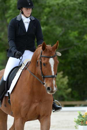So8ths-5-3-13-Dressage-5244-SamanthaDiMaria-Valentine-DDeRosaPhoto