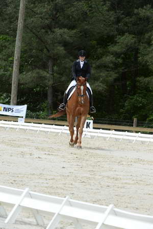 So8ths-5-3-13-Dressage-5272-SamanthaDiMaria-Valentine-DDeRosaPhoto