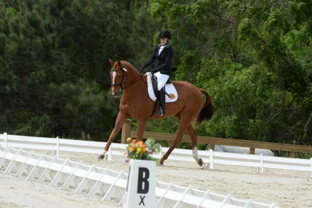 So8ths-5-3-13-Dressage-5280-SamanthaDiMaria-Valentine-DDeRosaPhoto