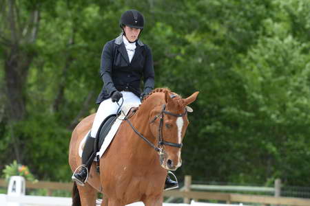 So8ths-5-3-13-Dressage-5283-SamanthaDiMaria-Valentine-DDeRosaPhoto