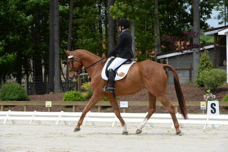 So8ths-5-3-13-Dressage-5288-SamanthaDiMaria-Valentine-DDeRosaPhoto