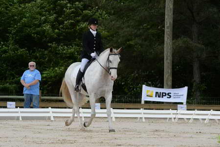 So8ths-5-3-13-Dressage-4864-LaurieWettstone-Moonstruck-DDeRosaPhoto