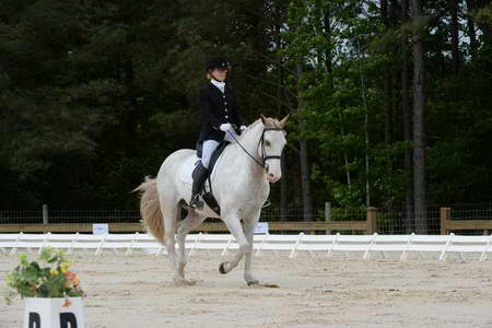 So8ths-5-3-13-Dressage-4865-LaurieWettstone-Moonstruck-DDeRosaPhoto