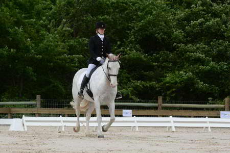 So8ths-5-3-13-Dressage-4868-LaurieWettstone-Moonstruck-DDeRosaPhoto