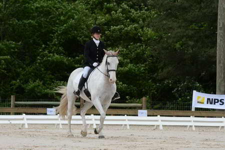 So8ths-5-3-13-Dressage-4869-LaurieWettstone-Moonstruck-DDeRosaPhoto