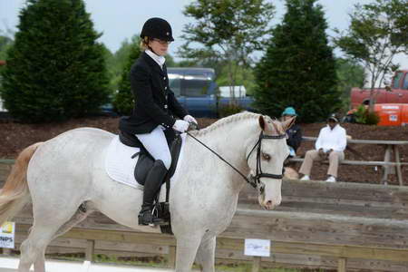 So8ths-5-3-13-Dressage-4873-LaurieWettstone-Moonstruck-DDeRosaPhoto