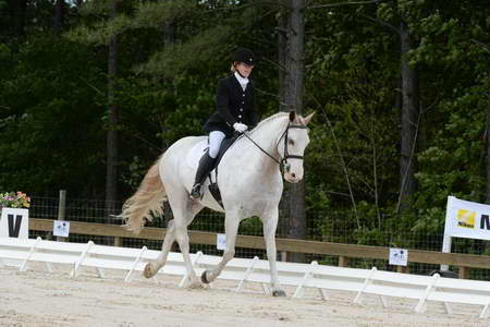 So8ths-5-3-13-Dressage-4884-LaurieWettstone-Moonstruck-DDeRosaPhoto