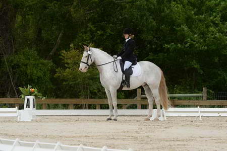 So8ths-5-3-13-Dressage-4892-LaurieWettstone-Moonstruck-DDeRosaPhoto