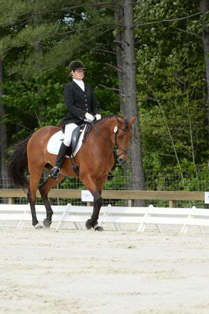 So8ths-5-3-13-Dressage-4924-KathyViele-Matariki-DDeRosaPhoto