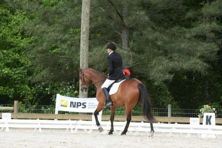 So8ths-5-3-13-Dressage-4931-KathyViele-Matariki-DDeRosaPhoto