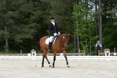 So8ths-5-3-13-Dressage-4934-KathyViele-Matariki-DDeRosaPhoto