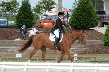 So8ths-5-3-13-Dressage-4940-SarahBaker-PoeticJustice-DDeRosaPhoto