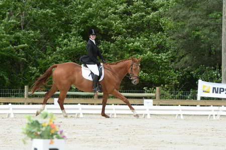 So8ths-5-3-13-Dressage-4952-SarahBaker-PoeticJustice-DDeRosaPhoto