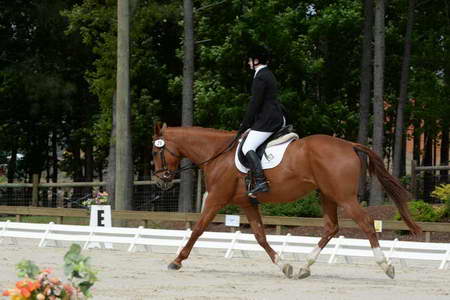 So8ths-5-3-13-Dressage-4959-SarahBaker-PoeticJustice-DDeRosaPhoto