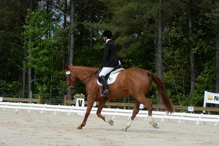 So8ths-5-3-13-Dressage-4960-SarahBaker-PoeticJustice-DDeRosaPhoto