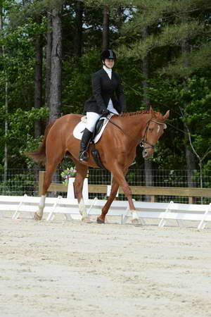 So8ths-5-3-13-Dressage-4963-SarahBaker-PoeticJustice-DDeRosaPhoto