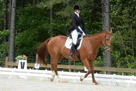 So8ths-5-3-13-Dressage-4967-SarahBaker-PoeticJustice-DDeRosaPhoto