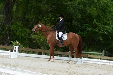 So8ths-5-3-13-Dressage-4970-SarahBaker-PoeticJustice-DDeRosaPhoto