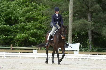 So8ths-5-3-13-Dressage-4989-KaitlynnMosing-Powerhound-DDeRosaPhoto