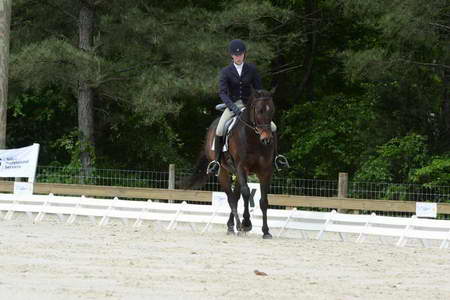 So8ths-5-3-13-Dressage-4994-KaitlynnMosing-Powerhound-DDeRosaPhoto