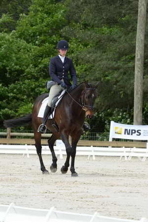 So8ths-5-3-13-Dressage-5008-KaitlynnMosing-Powerhound-DDeRosaPhoto