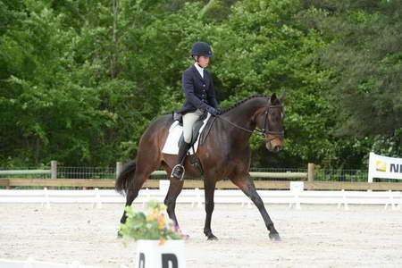 So8ths-5-3-13-Dressage-5017-KaitlynnMosing-Powerhound-DDeRosaPhoto