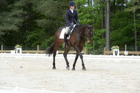 So8ths-5-3-13-Dressage-5024-KaitlynnMosing-Powerhound-DDeRosaPhoto
