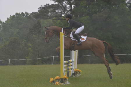 So8ths-5-5-13-SJ-Day-9258-SamanthaDiMaria-Valentine-DDeRosaPhoto