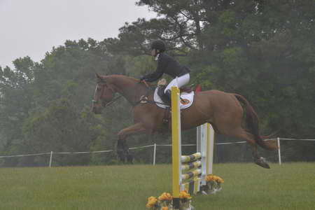 So8ths-5-5-13-SJ-Day-9259-SamanthaDiMaria-Valentine-DDeRosaPhoto