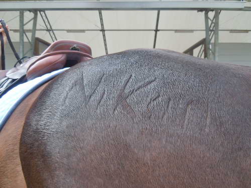 Rachel Hay-5-So8ths-5-3-13-NikonPhotoContest-0186