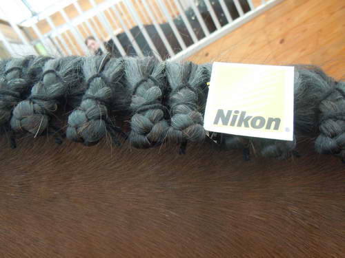 Sara Miles-13-So8ths-5-3-13-NikonPhotoContest-0268