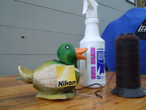 Sarah Zimmer-2-So8ths-5-3-13-NikonPhotoContest-0002