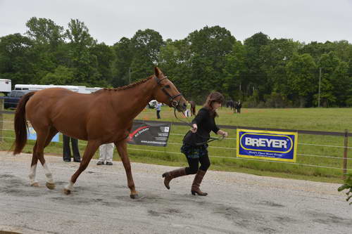 So8ths-5-5-13-SJ-Day-8503-DDeRosaPhoto