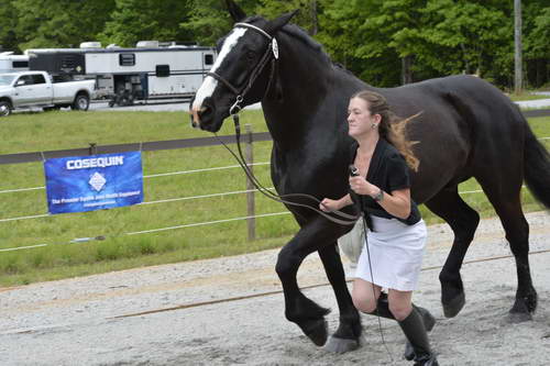 So8ths-5-2-13-Clinics-7024-DDeRosaPhoto