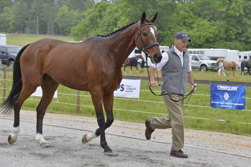 So8ths-5-5-13-SJ-Day-8604-DDeRosaPhoto