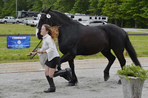 So8ths-5-5-13-SJ-Day-8685-DDeRosaPhoto