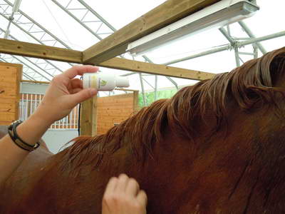 11-So8ths-5-3-13-ErinHite-Codachrome-0172