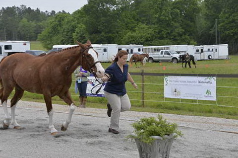 So8ths-5-5-13-SJ-Day-8649-DDeRosaPhoto